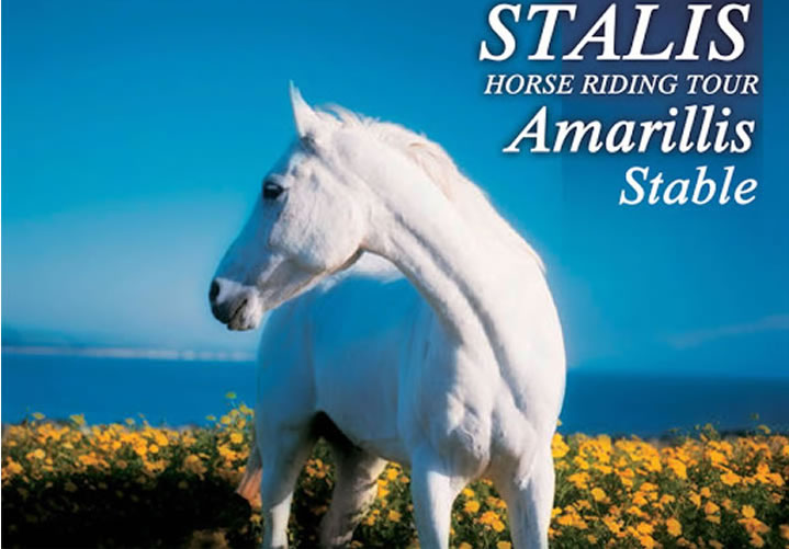 Balade à cheval en Crète : excursion équestre