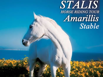 Balade à cheval en Crète : excursion équestre