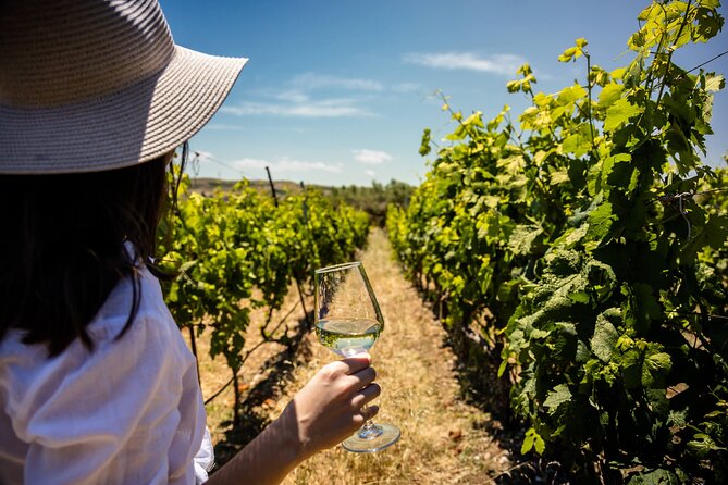 Dégustation de vin privée en Crète dans les vignobles